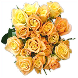 "Aayush Gold Health Card Rs3500 - Click here to View more details about this Product